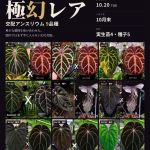 betta1409